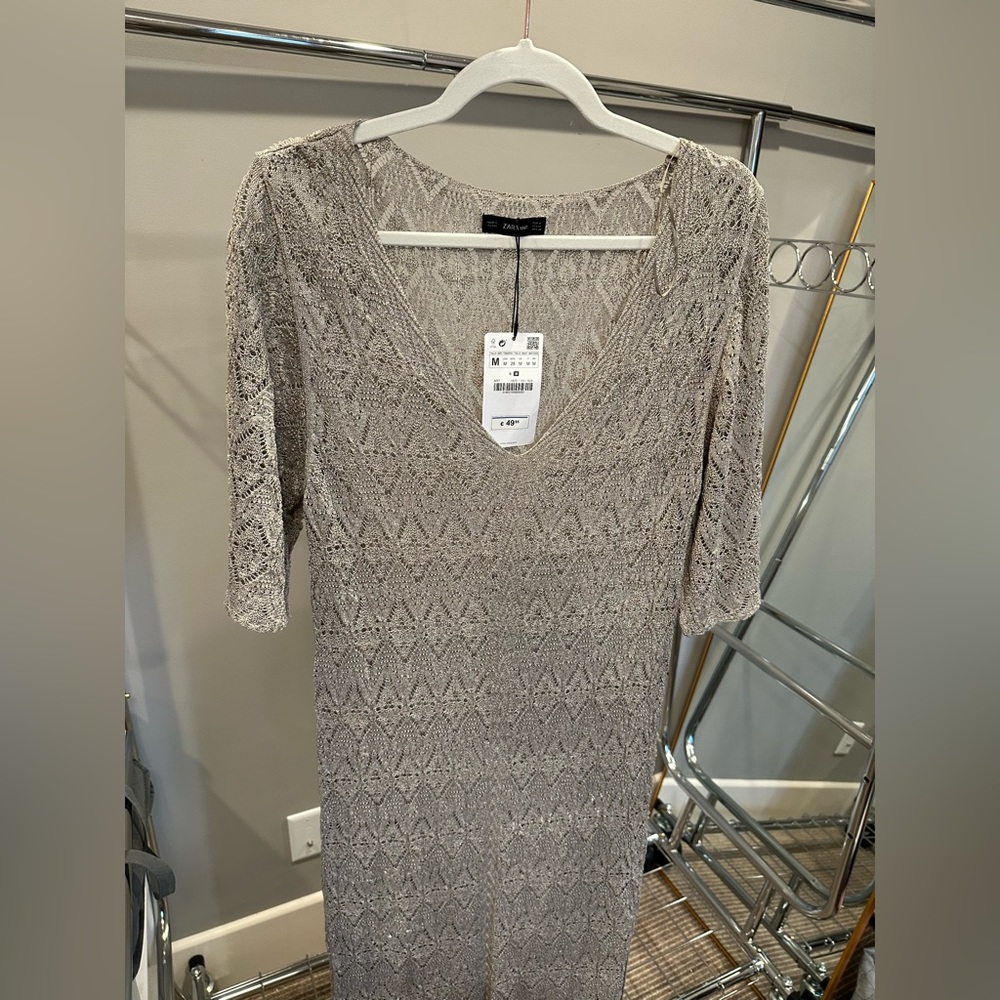 Metallic Zara Maxi Dress NWT M
